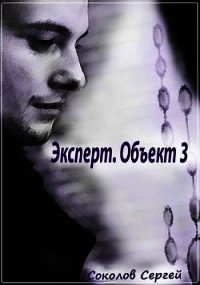 Эксперт. Объект 3 (СИ) - Соколов Сергей (полные книги .TXT) 📗