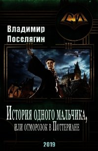 История одного мальчика, Или отморозок в Поттериане (СИ) - Поселягин Владимир Геннадьевич (бесплатные книги полный формат .txt) 📗