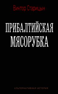 Прибалтийская мясорубка (СИ) - Старицын Виктор Карлович (читаем книги бесплатно .TXT) 📗