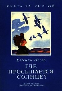 Где просыпается солнце? (Рассказы) - Носов Евгений Иванович (читать книги онлайн бесплатно полностью без сокращений txt) 📗