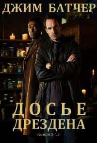 Досье Дрездена. Книги 1 - 15 - Батчер Джим (библиотека книг TXT) 📗