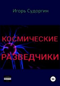 Космические разведчики (СИ) - Судоргин Игорь Вячеславович (читаем книги бесплатно .txt) 📗