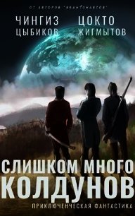 Слишком много колдунов (СИ) - Жигмытов Цокто (книги серии онлайн TXT) 📗