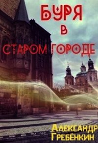 Буря в старом городе (СИ) - Гребёнкин Александр Тарасович (книги онлайн бесплатно серия .TXT) 📗