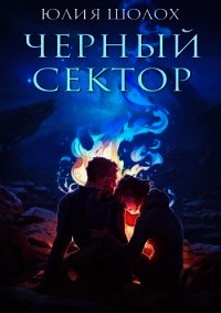 Чёрный сектор (СИ) - Шолох Юлия (бесплатные онлайн книги читаем полные .txt) 📗