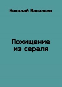 Похищение из сераля (СИ) - Васильев Николай Федорович (полные книги txt) 📗