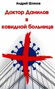 Доктор Данилов в ковидной больнице - Шляхов Андрей (электронная книга .txt) 📗