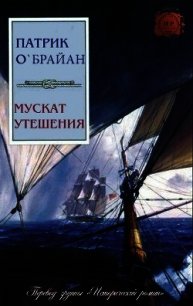 Мускат утешения (ЛП) - О'Брайан Патрик (библиотека электронных книг TXT) 📗