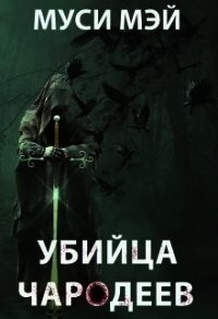 Убийца чародеев (СИ) - Лис Алекс "Муси Мэй" (книги бесплатно без регистрации txt) 📗