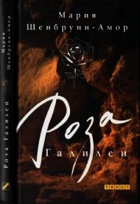 Роза Галилеи - Шенбрунн-Амор Мария (лучшие книги онлайн txt) 📗