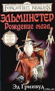 Эльминстер. Рождение мага - Гринвуд Эд (книги онлайн бесплатно без регистрации полностью txt) 📗