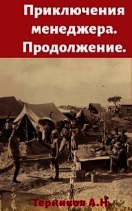 Приключения менеджера. Продолжение (СИ) - Терников Александр Николаевич (бесплатные онлайн книги читаем полные .TXT) 📗