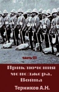 Приключения менеджера. Война (СИ) - Терников Александр Николаевич (читать книги онлайн полностью без сокращений TXT) 📗