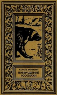 Возвращение росомахи(Повести) - Зиганшин Камиль Фарухшинович (книги бесплатно полные версии .TXT) 📗