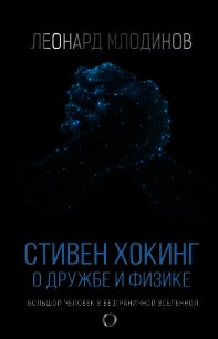 Стивен Хокинг. О дружбе и физике - Млодинов Леонард (книги бесплатно полные версии txt) 📗