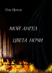 Мой ангел цвета ночи (СИ) - Нэм Иртэк (читать книгу онлайн бесплатно полностью без регистрации .TXT) 📗