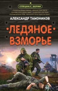 Ледяное взморье - Тамоников Александр (читать полностью книгу без регистрации TXT) 📗