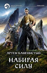 Набирая силу - Каменистый Артем (версия книг .TXT) 📗