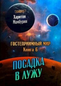 Посадка в лужу (СИ) - Мамбурин Харитон Байконурович (библиотека книг .TXT) 📗