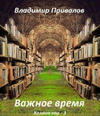 Важное время (СИ) - Привалов Владимир (лучшие книги читать онлайн бесплатно .txt) 📗