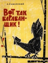 Вот так барабанщик! - Каменский Александр Владимирович (читать книги без регистрации полные .TXT) 📗