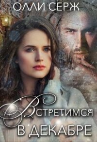 Встретимся в декабре (СИ) - Серж Олли (читаем полную версию книг бесплатно txt) 📗