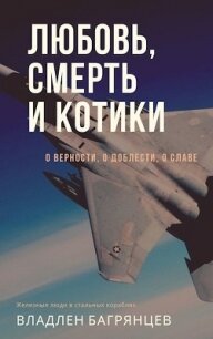 Любовь, смерть и котики (СИ) - Багрянцев Владлен Борисович (смотреть онлайн бесплатно книга TXT) 📗