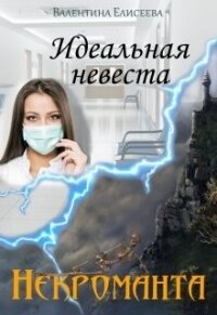 Идеальная невеста некроманта (СИ) - Елисеева Валентина (читать полную версию книги .TXT) 📗