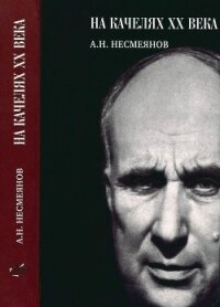 На качелях XX века - Несмеянов Александр Николаевич (мир бесплатных книг .txt) 📗