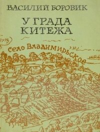 У града Китежа(Хроника села Заречицы) - Боровик Василий Николаевич (версия книг .txt) 📗