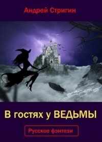 В гостях у ведьмы (СИ) - Стригин Андрей Николаевич (хороший книги онлайн бесплатно .txt) 📗