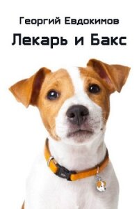 Лекарь и Бакс (СИ) - Евдокимов Георгий (читаем книги онлайн бесплатно txt) 📗