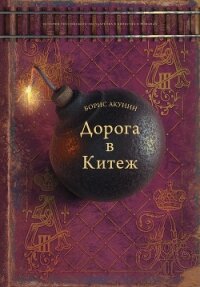 Дорога в Китеж - Акунин Борис (книги бесплатно читать без .txt) 📗