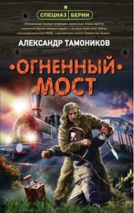 Огненный мост - Тамоников Александр (книги читать бесплатно без регистрации полные TXT) 📗