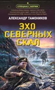 Эхо северных скал - Тамоников Александр (читать книги полностью txt, fb2) 📗