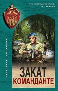 Закат команданте - Тамоников Александр (полная версия книги .TXT, .FB2) 📗