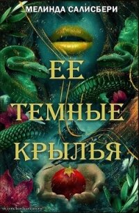 Ее темные крылья (ЛП) - Солсбери Мелинда (книга читать онлайн бесплатно без регистрации txt, fb2) 📗