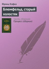 Блюмфельд, старый холостяк - Кафка Франц (книги бесплатно .txt) 📗