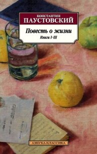 Повесть о жизни. Книги I–III - Паустовский Константин (книги регистрация онлайн .TXT, .FB2) 📗