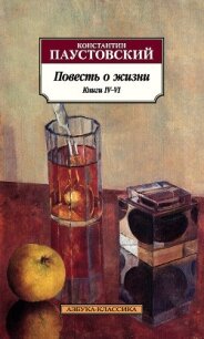 Повесть о жизни. Книги IV–VI - Паустовский Константин (книги хорошего качества txt, fb2) 📗