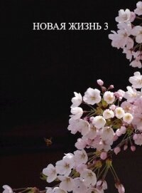 Новая жизнь 3 (СИ) - Хонихоев Виталий (читать книги онлайн бесплатно без сокращение бесплатно txt, fb2) 📗