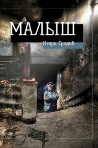 Малыш (СИ) - Градов Игорь (версия книг .TXT, .FB2) 📗