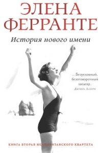 История нового имени - Ферранте Элена (читать книгу онлайн бесплатно полностью без регистрации .txt, .fb2) 📗