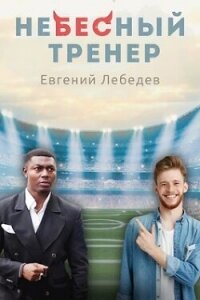 Небесный тренер (СИ) - Лебедев Евгений Николаевич (читаем полную версию книг бесплатно TXT, FB2) 📗