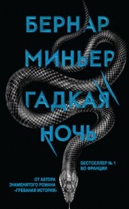 Гадкая ночь - Миньер Бернар (книги без регистрации бесплатно полностью сокращений .txt, .fb2) 📗