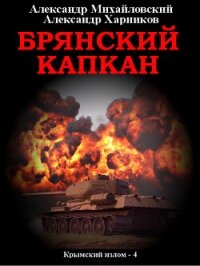 Брянский капкан - Михайловский Александр (книги без регистрации полные версии TXT, FB2) 📗