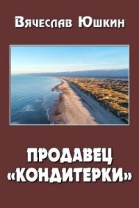 Продавец кондитерки 2 (СИ) - Юшкин Вячеслав (полная версия книги .txt, .fb2) 📗