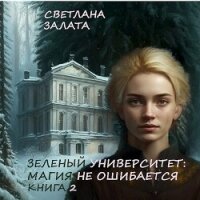 Магия не ошибается. Книга 2 (СИ) - Залата Светлана (читать книги регистрация txt, fb2) 📗