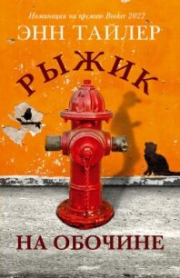 Рыжик на обочине - Тайлер Энн (читать книги онлайн без сокращений TXT, FB2) 📗