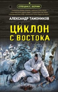 Циклон с востока - Тамоников Александр (читать хорошую книгу txt, fb2) 📗